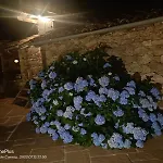 Moulin De Longuecoste, 11 Couchages, Nature, Riviere, Piscine Et Pool House * Montet-et-Bouxal