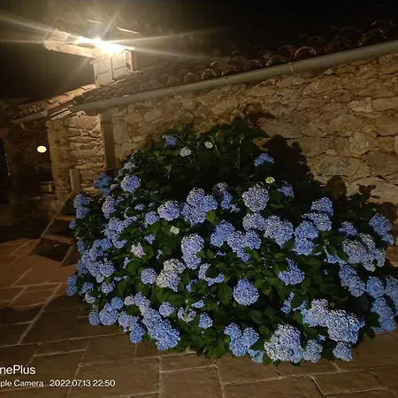 Moulin De Longuecoste, 11 Couchages, Nature, Riviere, Piscine Et Pool House * Montet-et-Bouxal