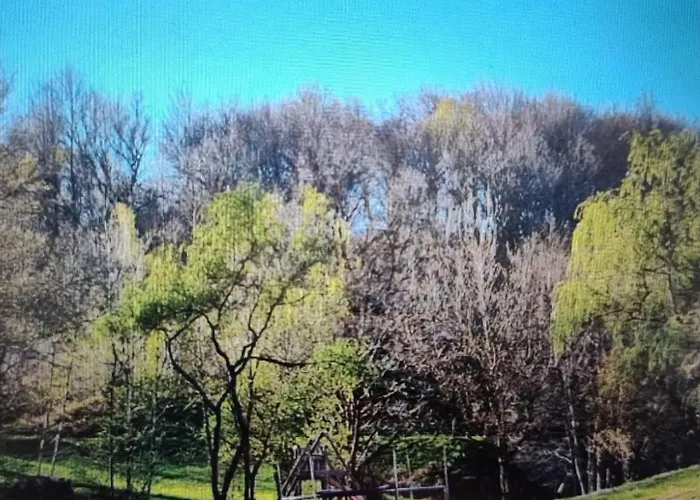 Ferienhaus Moulin De Longuecoste, 11 Couchages, Nature, Riviere, Piscine Et Pool House Montet-et-Bouxal