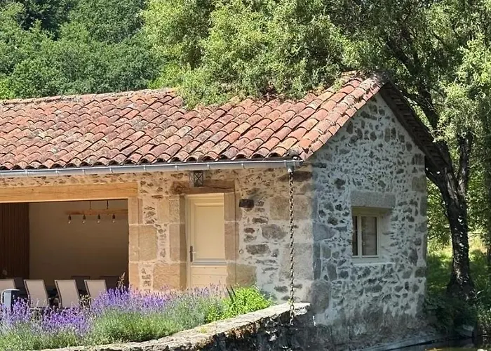 Moulin De Longuecoste, 11 Couchages, Nature, Riviere, Piscine Et Pool House * Montet-et-Bouxal