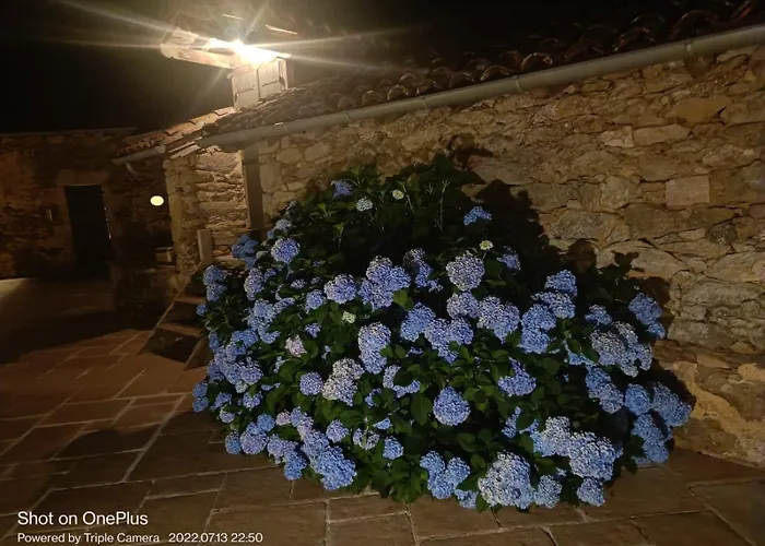 Moulin De Longuecoste, 11 Couchages, Nature, Riviere, Piscine Et Pool House * Montet-et-Bouxal