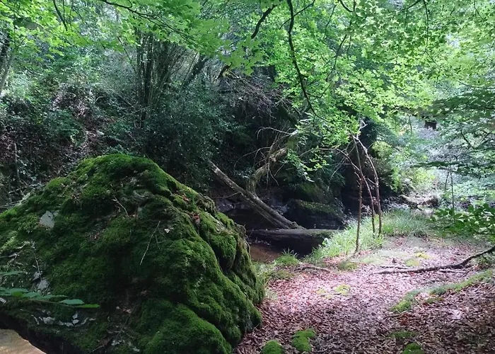 Ferienhaus Moulin De Longuecoste, 11 Couchages, Nature, Riviere, Piscine Et Pool House