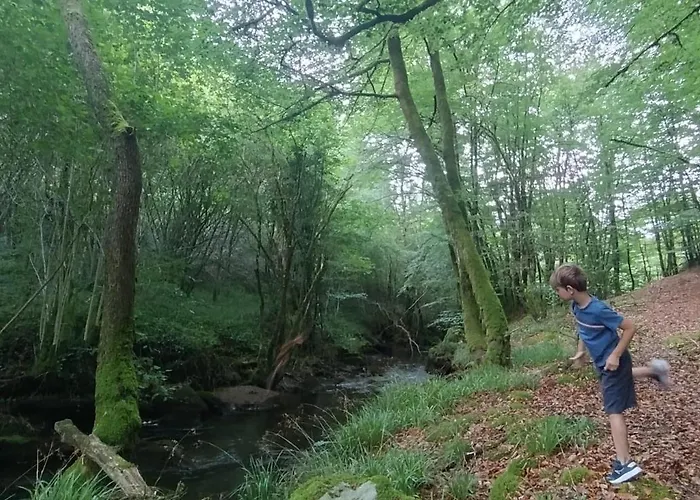 Moulin De Longuecoste, 11 Couchages, Nature, Riviere, Piscine Et Pool House * Montet-et-Bouxal