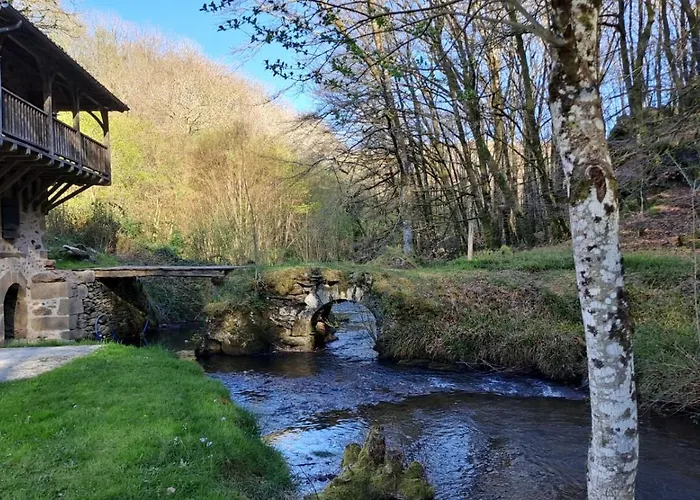 Moulin De Longuecoste, 11 Couchages, Nature, Riviere, Piscine Et Pool House Montet-et-Bouxal